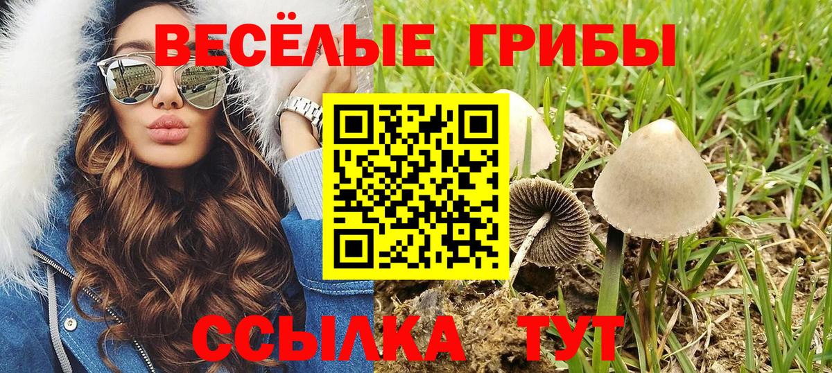 Сорочинск  Галлюциногенные грибы мицелий  Вход с VPN  Галлюциногенные грибы мухоморы 